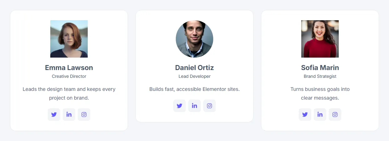 Team Member preview